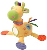 DEVELOPMENTAL GIRAFFE