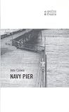 Navy Pier