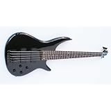 5 saiter Bass, sehr edel, SRB5von "Pasadena"
