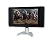 Lloytron T753 11 Inch Digital Widescreen Colour Lcd Tv