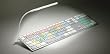 LogicLight LED Keyboard Light via USB - Compatible with all Computer Keyboard with USB port and with all Laptops - White Color Light - No Keyboard Included