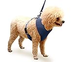 After Christmas Sales: Yes4All Soft Mesh Dog Puppy Harness, 47" Marched Color Leash Included (Black, S) - ²PJ82Z