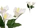 84 White Silk Calla Lily Flowers for Wedding Bouquets