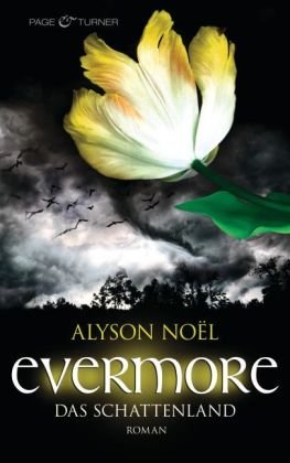 Evermore – Das Schattenland: Roman
