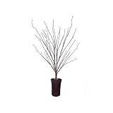 36' Pre-Lit LED Fiber Optic Potted Brown Twig Tree