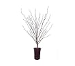 36" Pre-Lit LED Fiber Optic Potted Brown Twig Tree