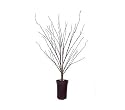36" Pre-Lit LED Fiber Optic Potted Brown Twig Tree