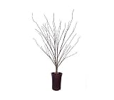 36 Pre-Lit LED Fiber Optic Potted Brown Twig Tree