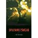 Great Suspense Thrillers and Mysteries