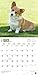 Pembroke Welsh Corgis 2016 Calendar