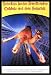 Camel Poster + MDF-Rahmen, schwarz von Camel - alle Infos