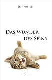 Das Wunder des Seins - Jeff Foster