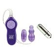 California Exotics / Swedish Erotica Passion Bullets Bullet and Multi-Probe Bullet Purple Adult Sex Toy Kit