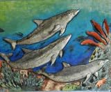 Dolphin Swimming in Ocean Metal Wall Frame