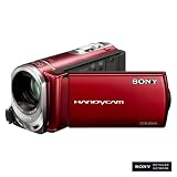 Sony DCR-SX44 Flash
