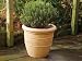 Stewart 5022159 Sylvan Bell Pot Sndstone 48cm