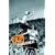 U2 - Go Home: Live From Slane Castle [DVD] [2001]