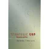Strategic ERP Extension and Use
