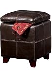 15" Square Leather Newman Storage Ottoman
