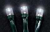 Solar Powered White LED Holiday Lights