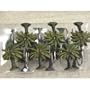 Palm Trees Shower Curtain Hooks - set of 12