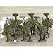 Palm Trees Shower Curtain Hooks - set of 12