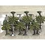 Palm Trees Shower Curtain Hooks - set of 12