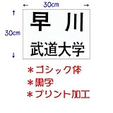 ��N�i�N�T�N���j���������p�_���[�b�P���i�v�����g���H�j30�~30cm �S�V�b�N�� ���� JT63030GOB