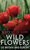 Cover of Wild Flowers of Britain and Europe by Margot Spohn Roland Spohn 140810153X