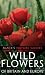 Wild Flowers of Britain and Europe (Black's Nature Guides) (Black's Nature Guides)