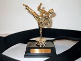 Martial Arts Desk Top Trophy, (Single male).