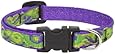 LupinePet 1/2-Inch Big Easy 8-12-Inch Adjustable Dog Collar for Small Dogs