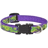 LupinePet 1/2-Inch Big Easy 8-12-Inch Adjustable Dog Collar for Small Dogs