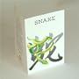 Asian Zodiac (TWELVE-PACK) Greeting, Birthday, Gift Card Year of the Snake Born 1917 1929 1941 1953 1965 1977 1989 2001 2013