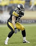 James Farrior Pittsburgh Steelers 8x10 Photo