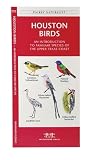 Houston Birds: An Introduction to Familiar Species of the Upper Texas Coast (US City Nature Guides)