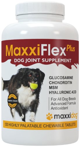 best natural joint supplement for dogs