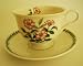 Portmeirion Botanic Garden Teacup & Saucer Collection Dog Rose