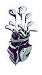 Wilson Hope LX Women's Right Hand Package set
