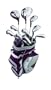 Wilson Hope LX Women's Right Hand Package set