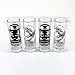 Schnapsgl�ser PINK FLOYD  - rockiges 4er Set!