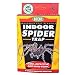 Outdoor Living : SpringStar Silverfish and Spider Trap