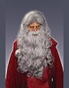 Moses Wig/Beard - Grey Adult