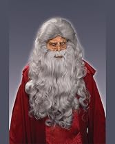 Moses Wig/Beard - Grey Adult