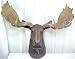 North American Moose Head Bust Wall Hanging