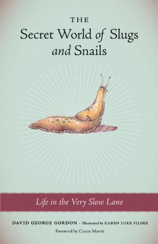 The Secret World of Slugs and Snails: Life in the Very Slow Lane [Paperback]