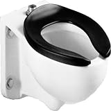 Crane Plumbing 3446-100 Placidus Elongated Mounted Commercial