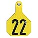 Y-TEX CORPORATION Large Yellow Tag (25 Pack)