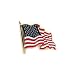 Waving USA Flag Lapel Pin