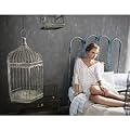 Speak Now Litho #7 - Birdcages